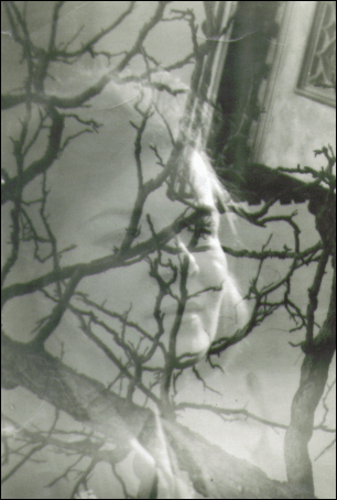 Strange double exposure of my mom and a tree.