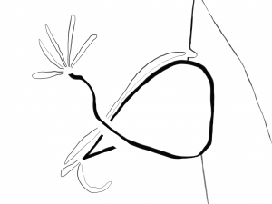 Untitled SK-22 - by Gabi Clayton